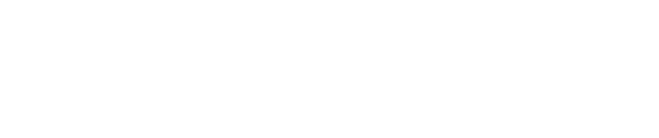 Northville Consulting Group